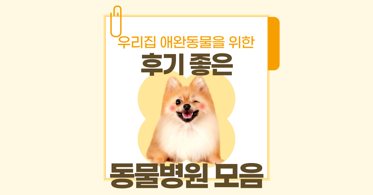 강남 동물병원