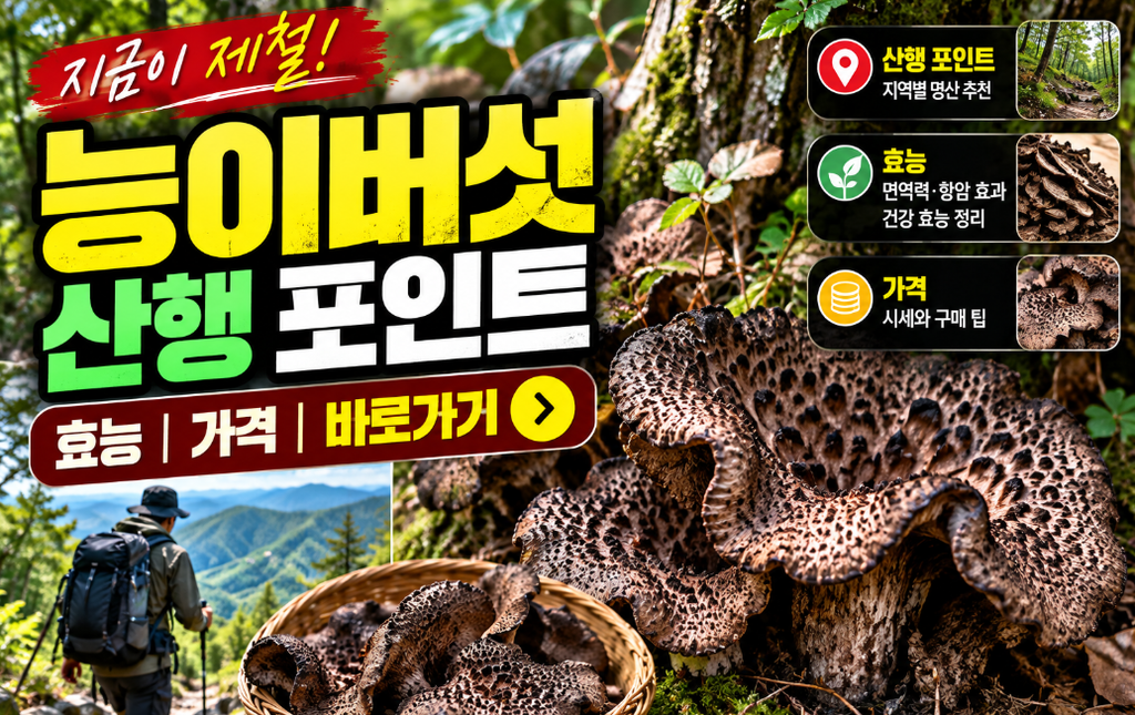 능이버섯 산행